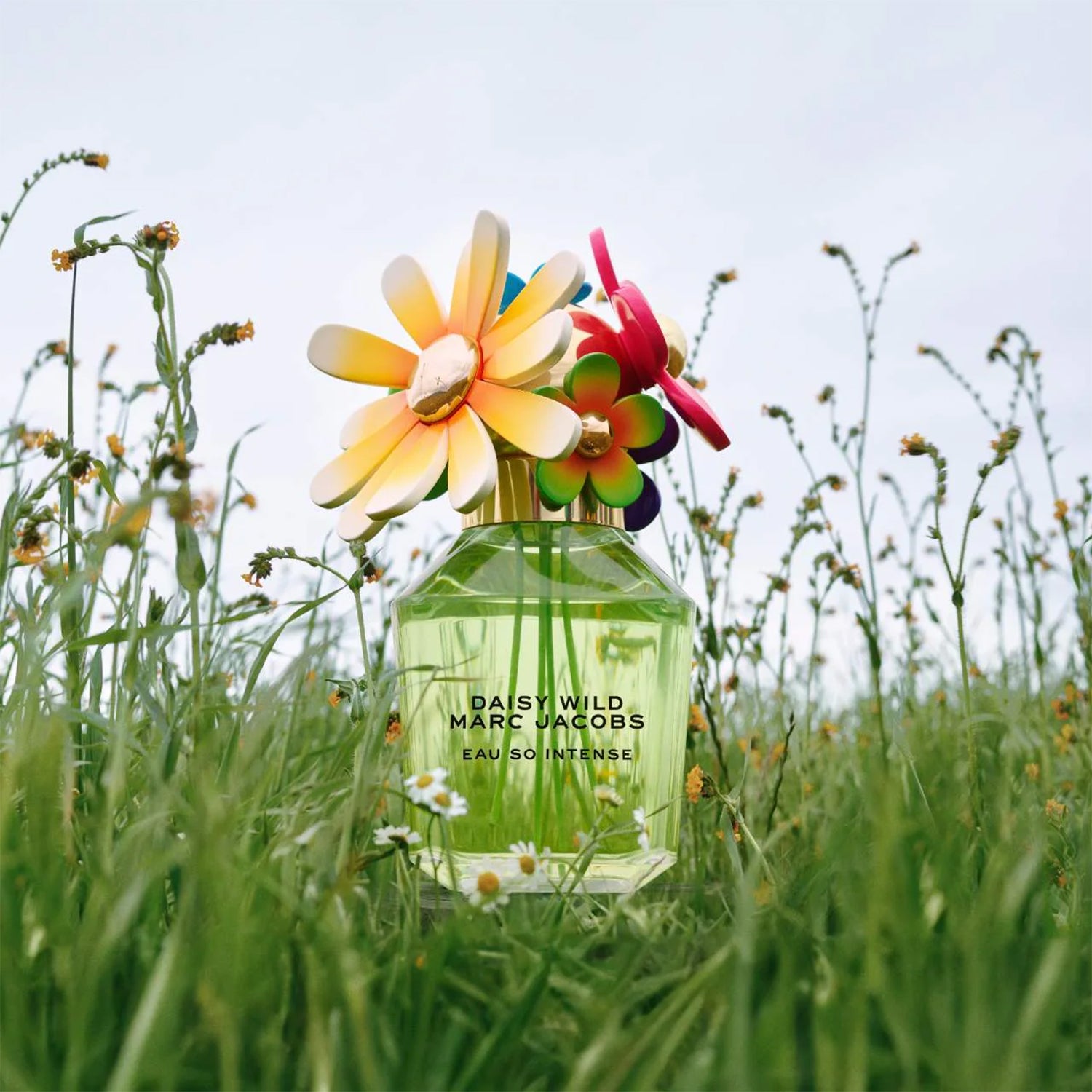 Marc Jacobs Daisy Wild Eau So Intense