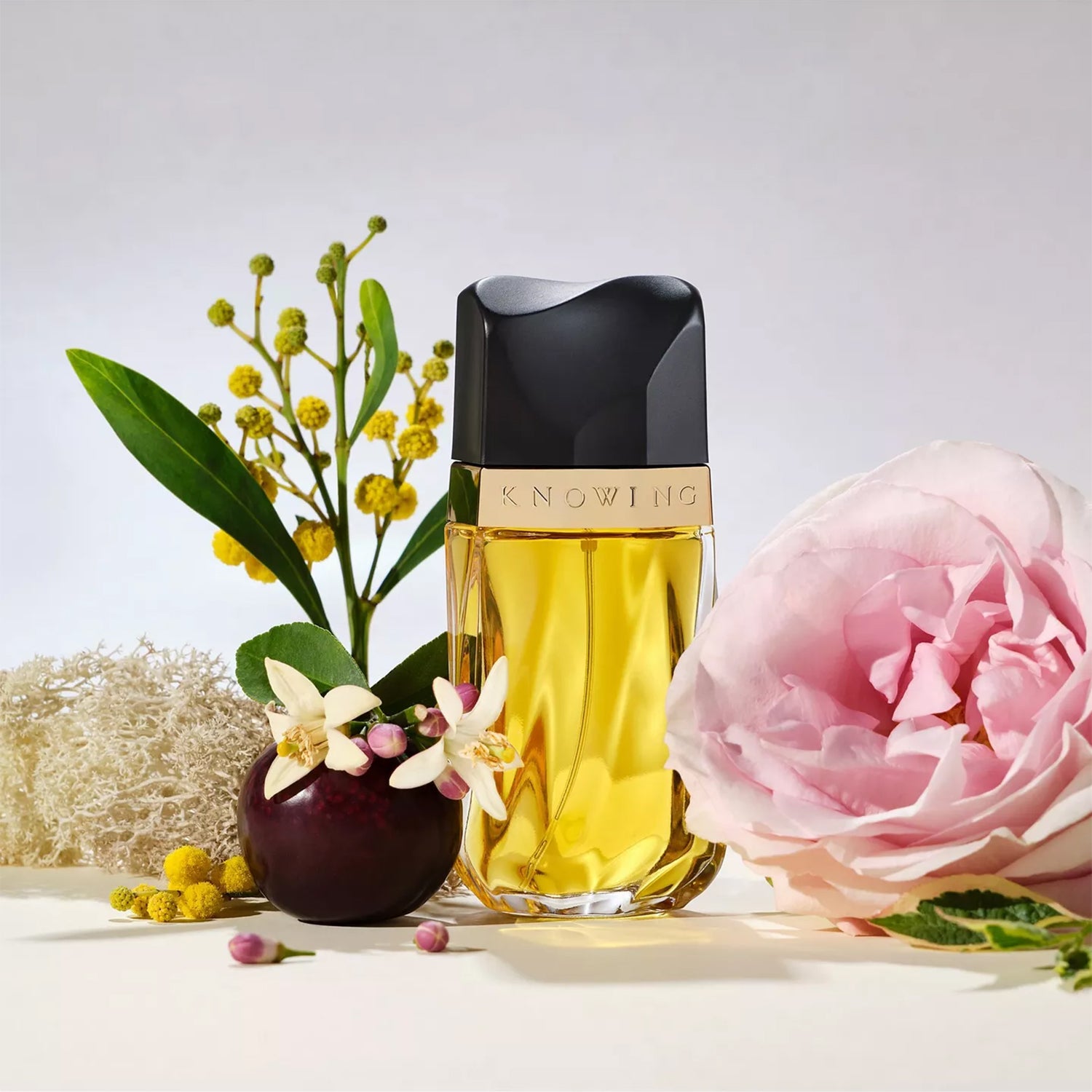 Estée Lauder Knowing EDP 75ml