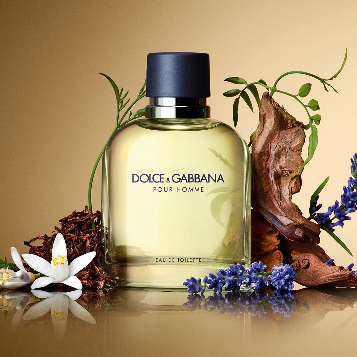 D&amp;G Pour Homme EDT 75 ml