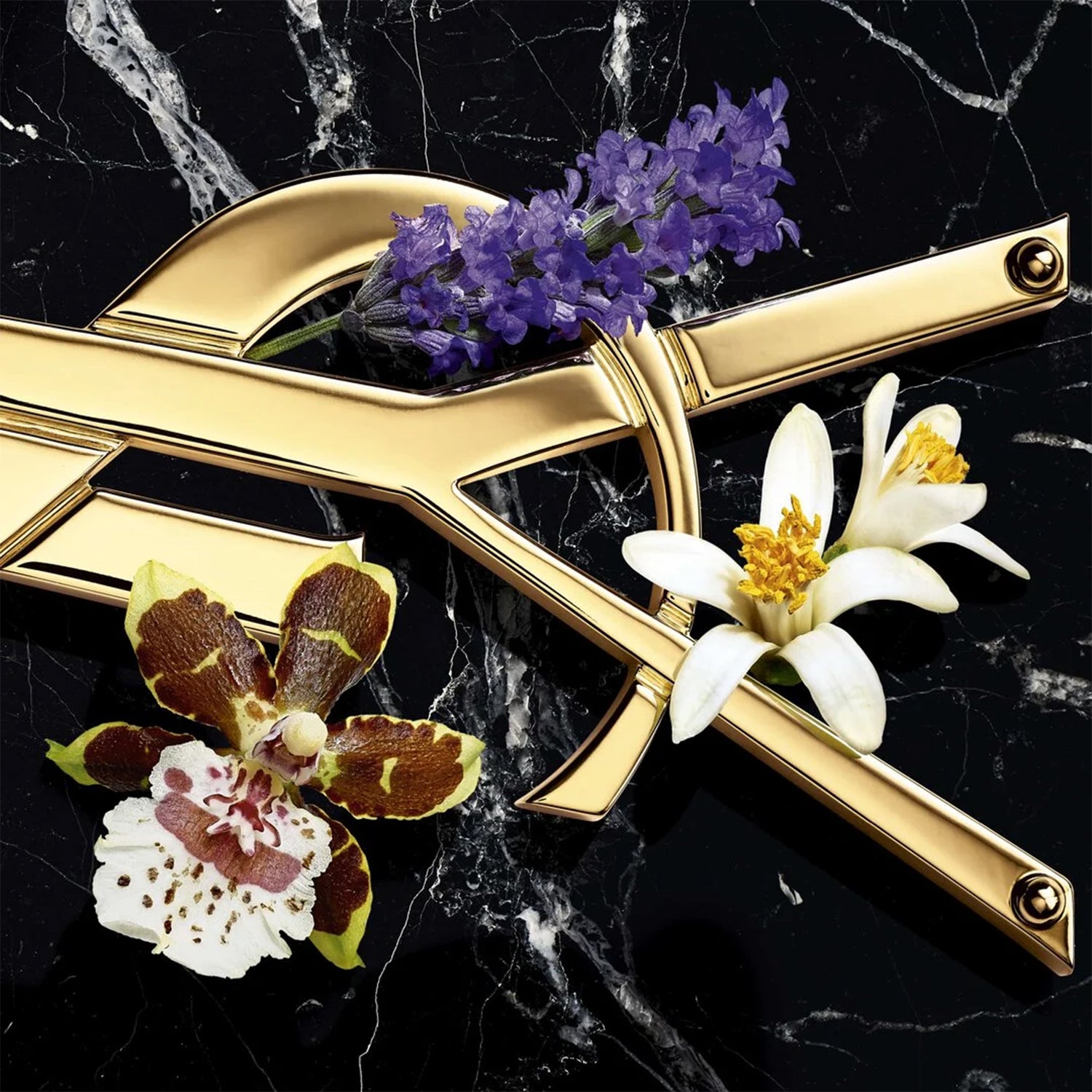 YSL Libre EDP Intense