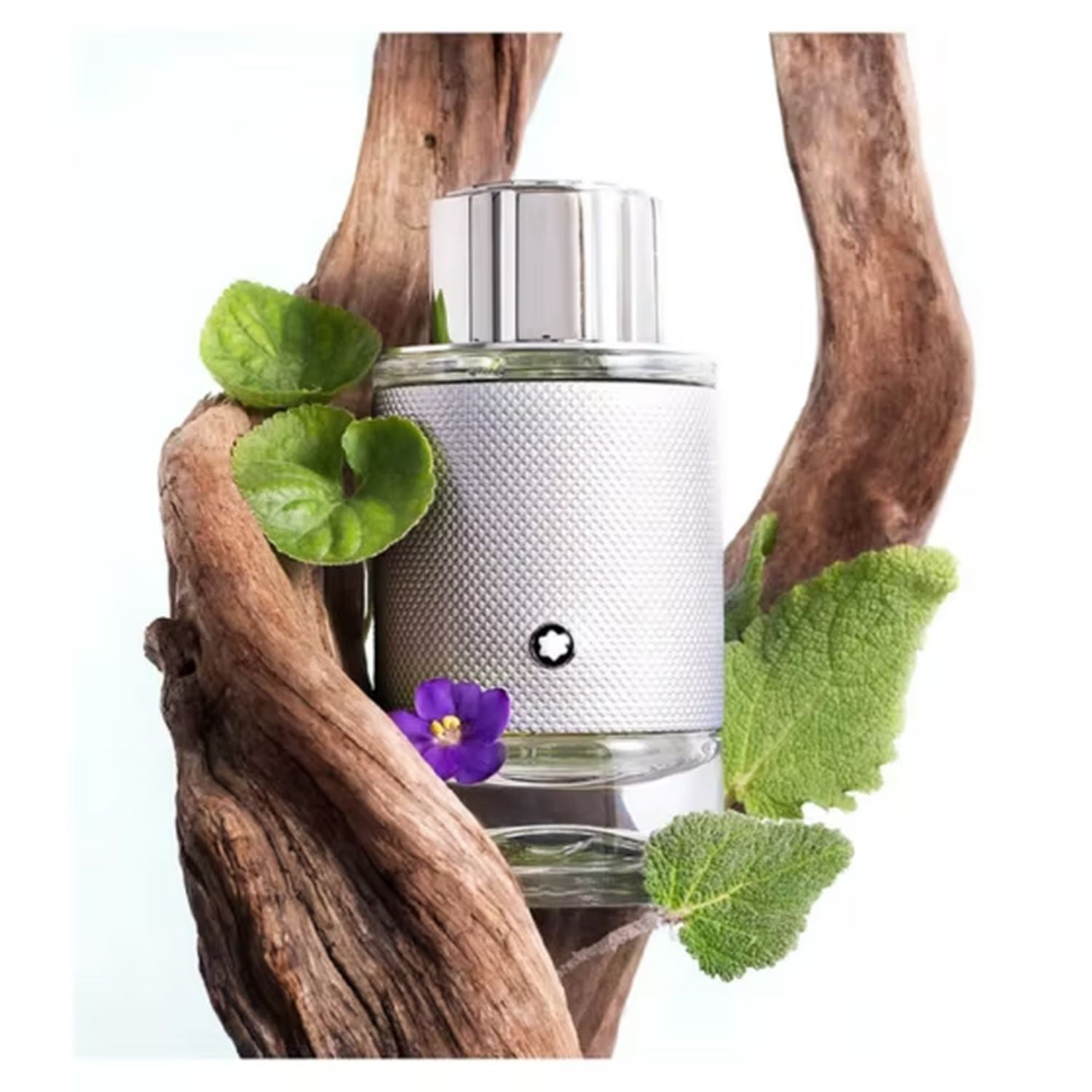 Montblanc Explorer Platinum EDP 100ml