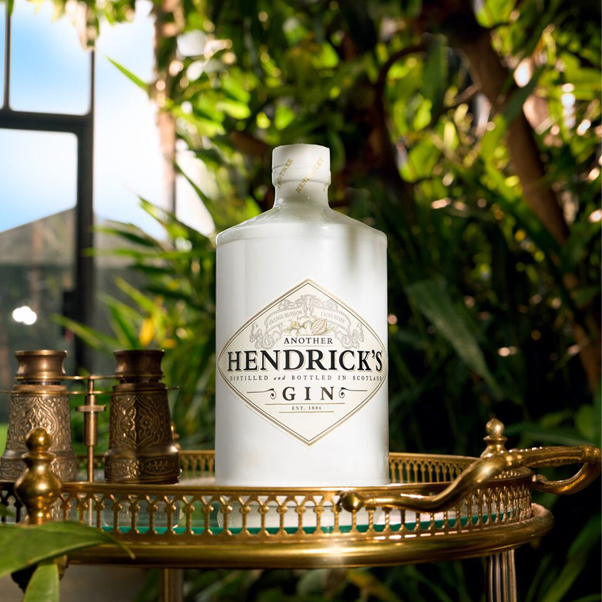 Another Hendricks 1L