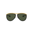 Rayban Sunglasses Black Green 0RB2219901/3159