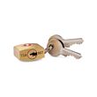 Samsonite 2 Pack Travel Sentry Brass Key Locks