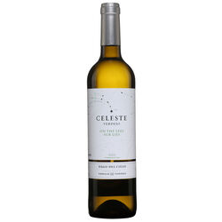 PAGO DEL CIELO Miguel Torres Celeste Verdejo Rueda 2021 White wine   |   750 ml   |   Spain  Vallée du Duero