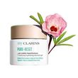 Clarins Pure Reset Frosted Blemish Gel 50ml