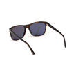 Tom Ford Plastic Dark Havana Smoke Polarized Sunglasses